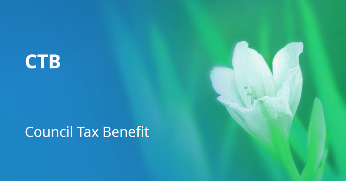 Weekly Update 30/7/2012 – Executive Meeting – chapter four (Council Tax Benefit)