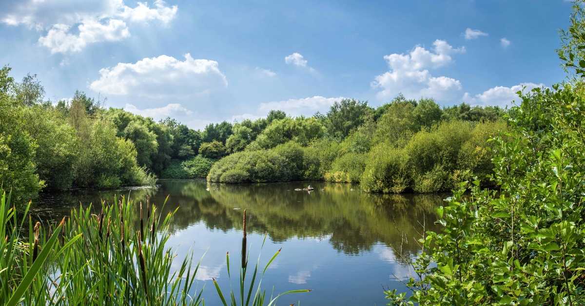 Councillor’s Diary – Week Commencing 12th December
